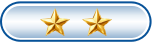 二星级标识